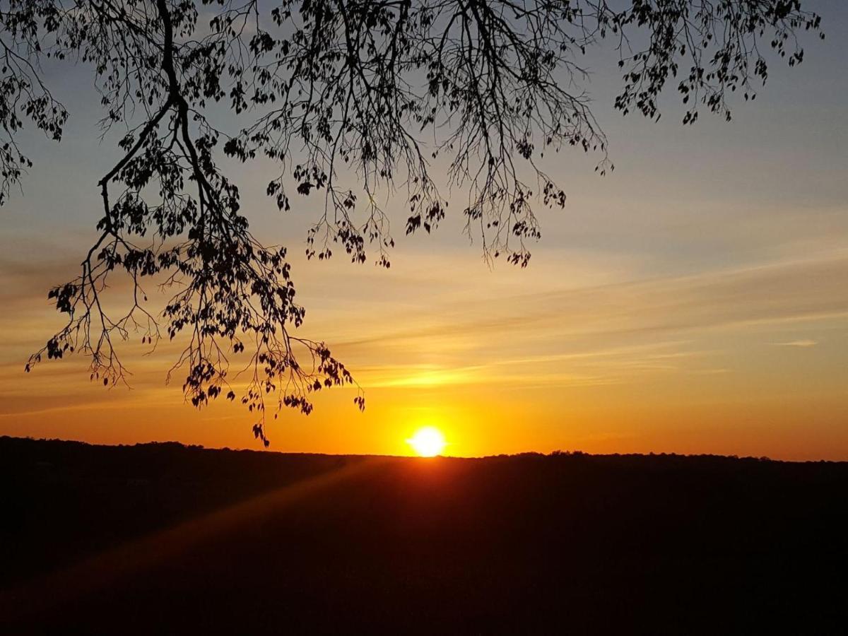 Lpc Dordogne Holidays - Le Petit Coin Lussas-et-Nontronneau المظهر الخارجي الصورة
