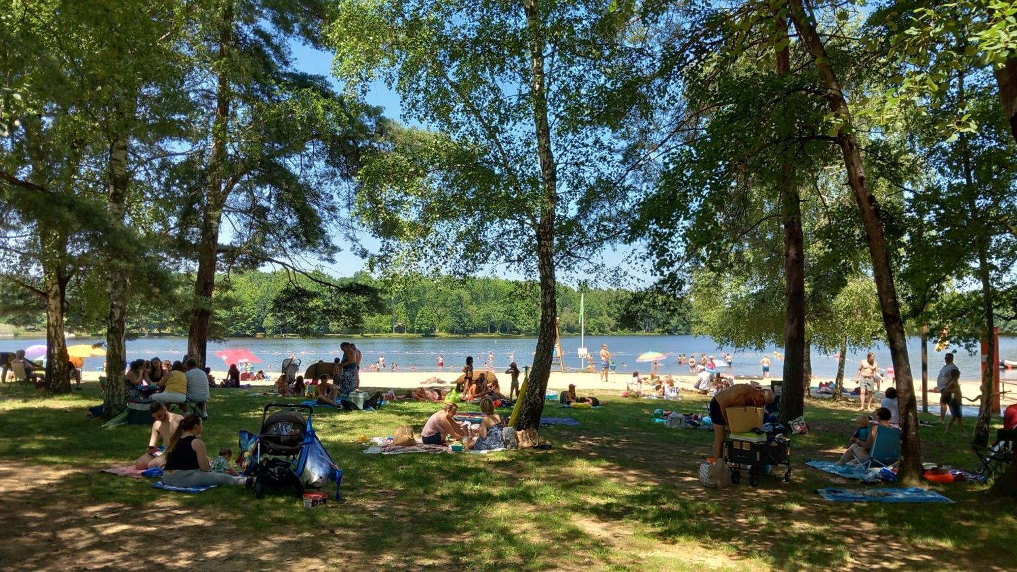 Lpc Dordogne Holidays - Le Petit Coin Lussas-et-Nontronneau المظهر الخارجي الصورة