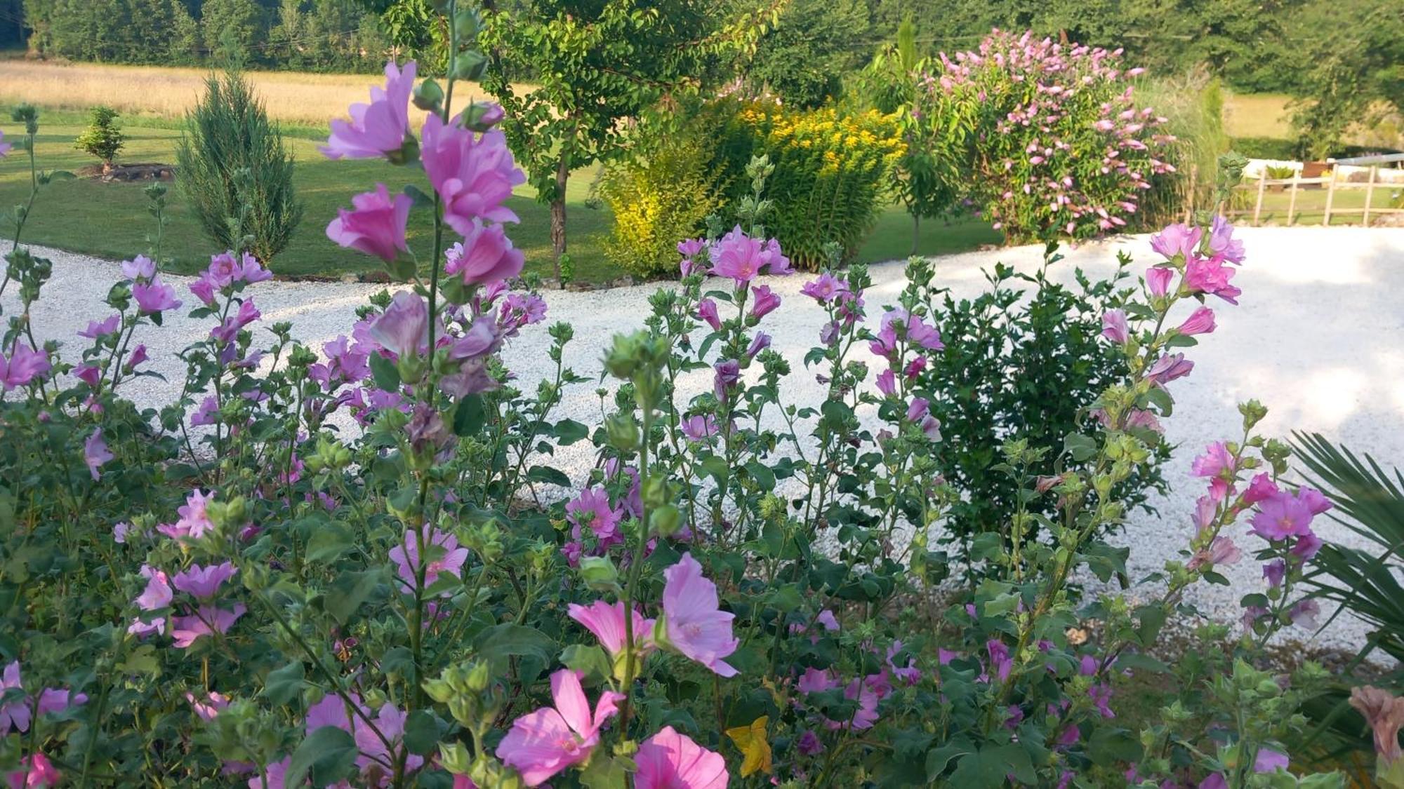 Lpc Dordogne Holidays - Le Petit Coin Lussas-et-Nontronneau المظهر الخارجي الصورة